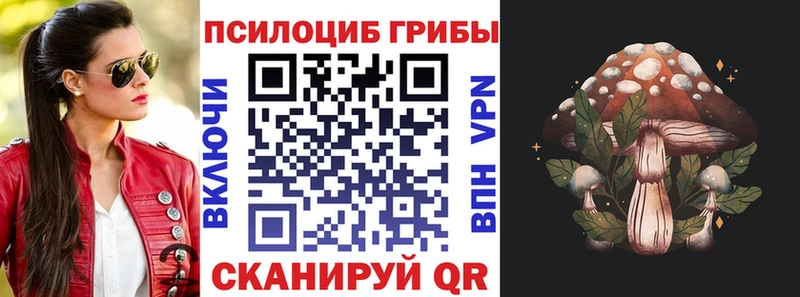 Галлюциногенные грибы Psilocybe  Купить закладки  Дивногорск 